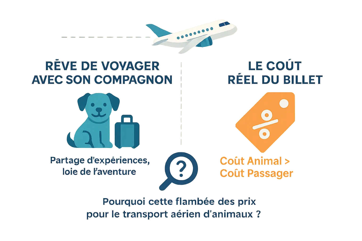 Comparaison entre rêve et réalité du coût du transport animalier en avion